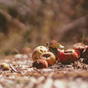 gaspillage alimentaire restauration-restaurant-eco responsable-environnement-communication-économique-réseaux sociaux-google-relations presse-influenceurs-instagram-stories-référencement local-médias-déchets